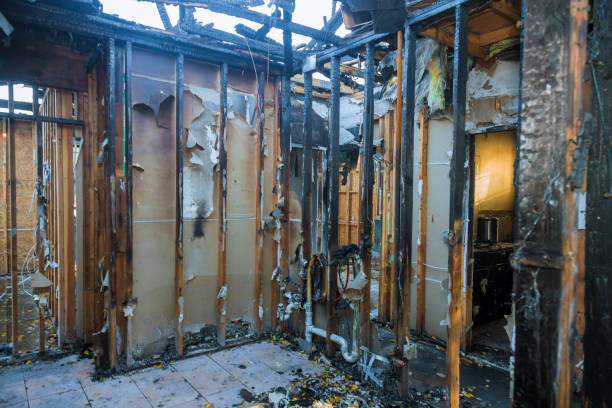 Professional Fire Damage Removal technician working in Trinity, FL